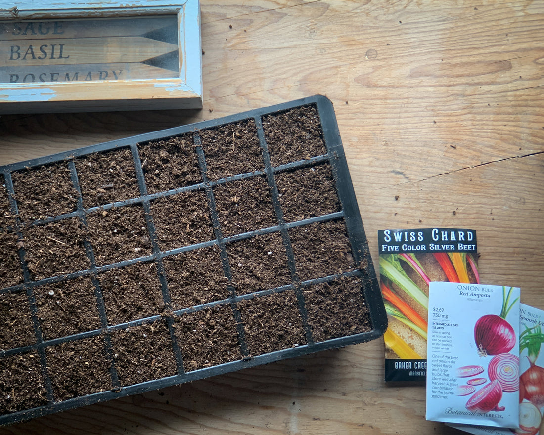 Starting Seeds Indoors for a Thriving Spring Garden