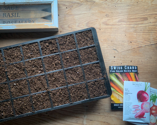 Starting Seeds Indoors for a Thriving Spring Garden