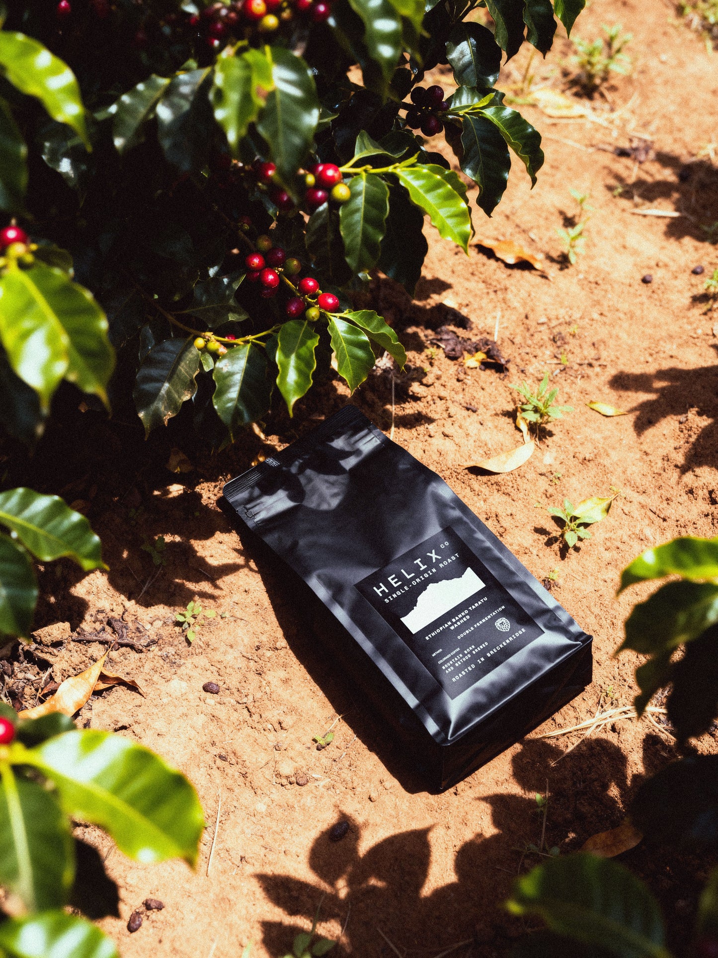 Helix Coffee — Ethiopian Banko Taratu Single-Origin