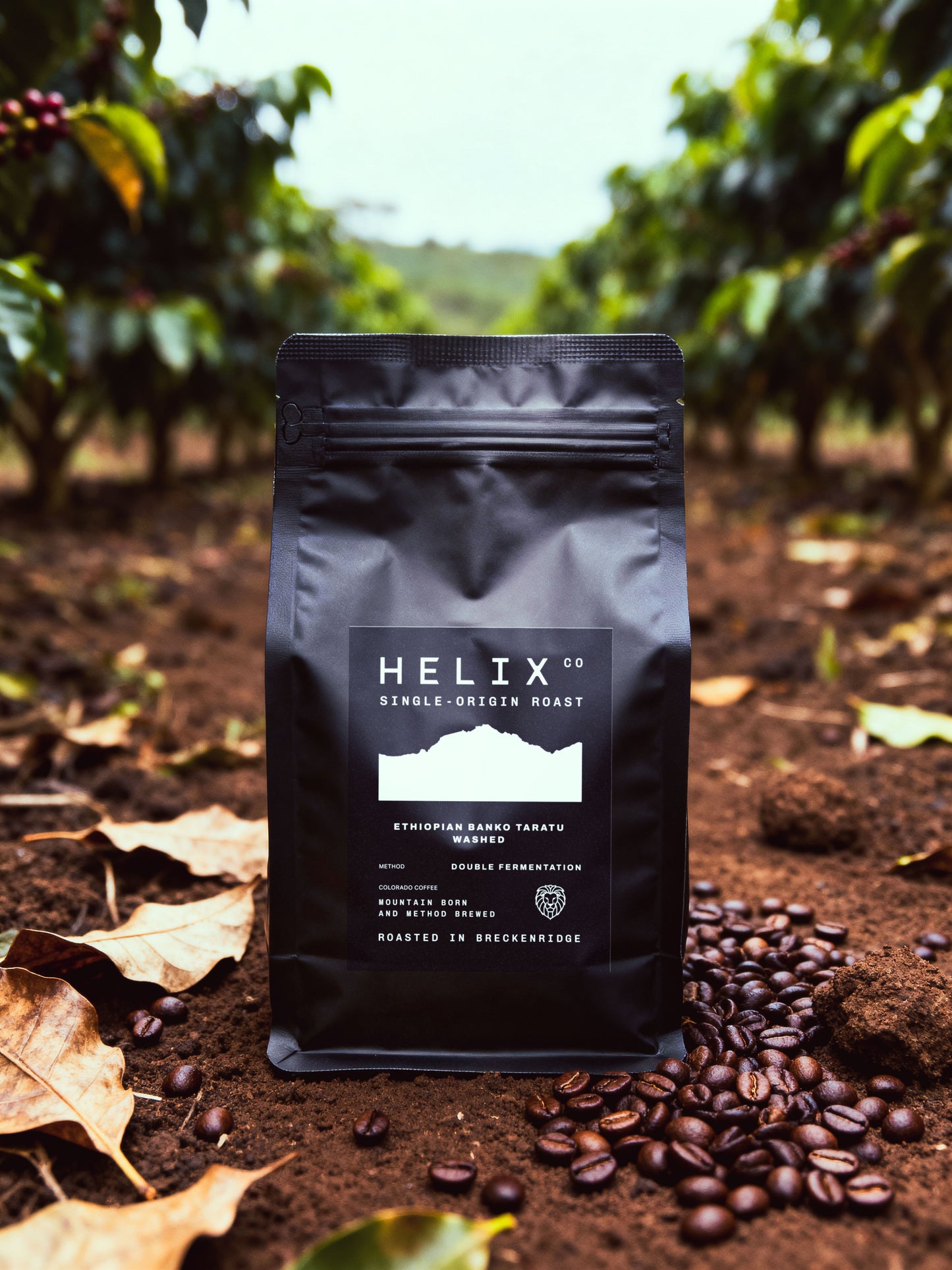 Helix Coffee — Ethiopian Banko Taratu Single-Origin