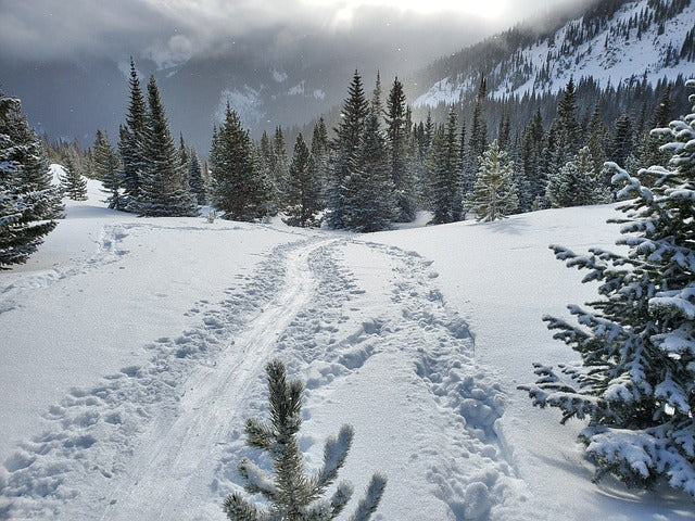 MatchBox Candle Co. Soy Candles